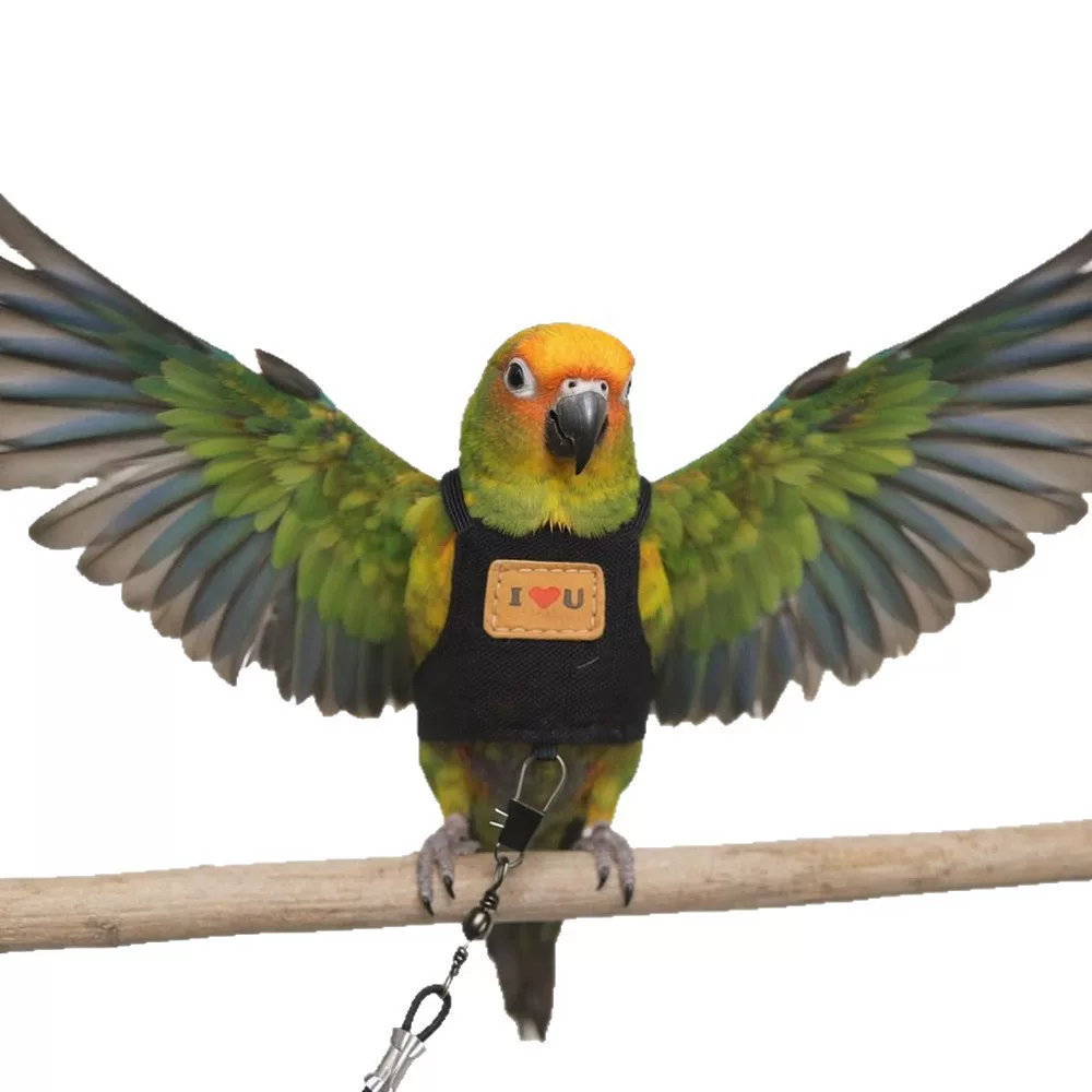 Bird Harness