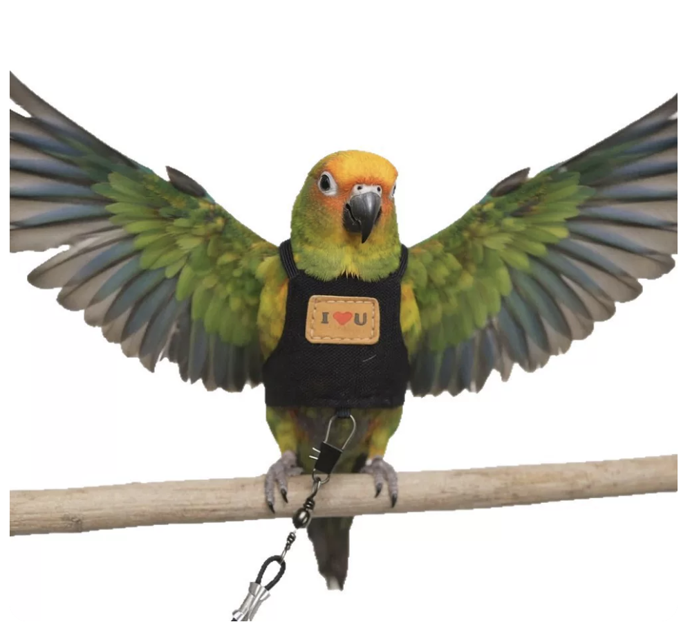 Bird Harness