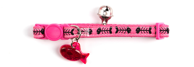 Cat Collar