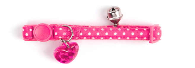 Cat Collar