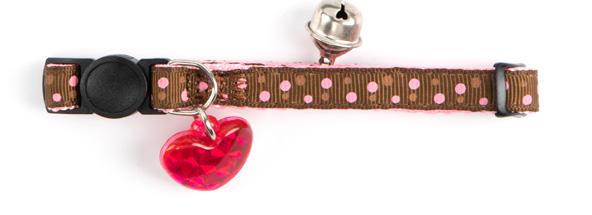 Cat Collar