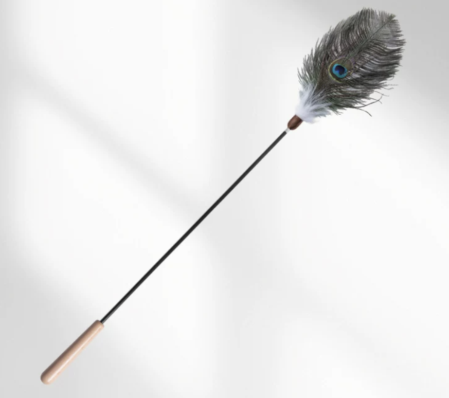 Feather Cat Teaser Wand