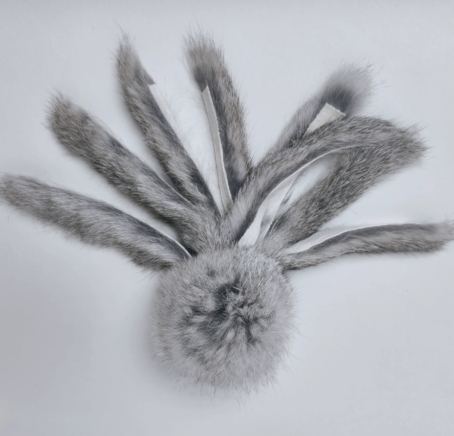Cat Toy
