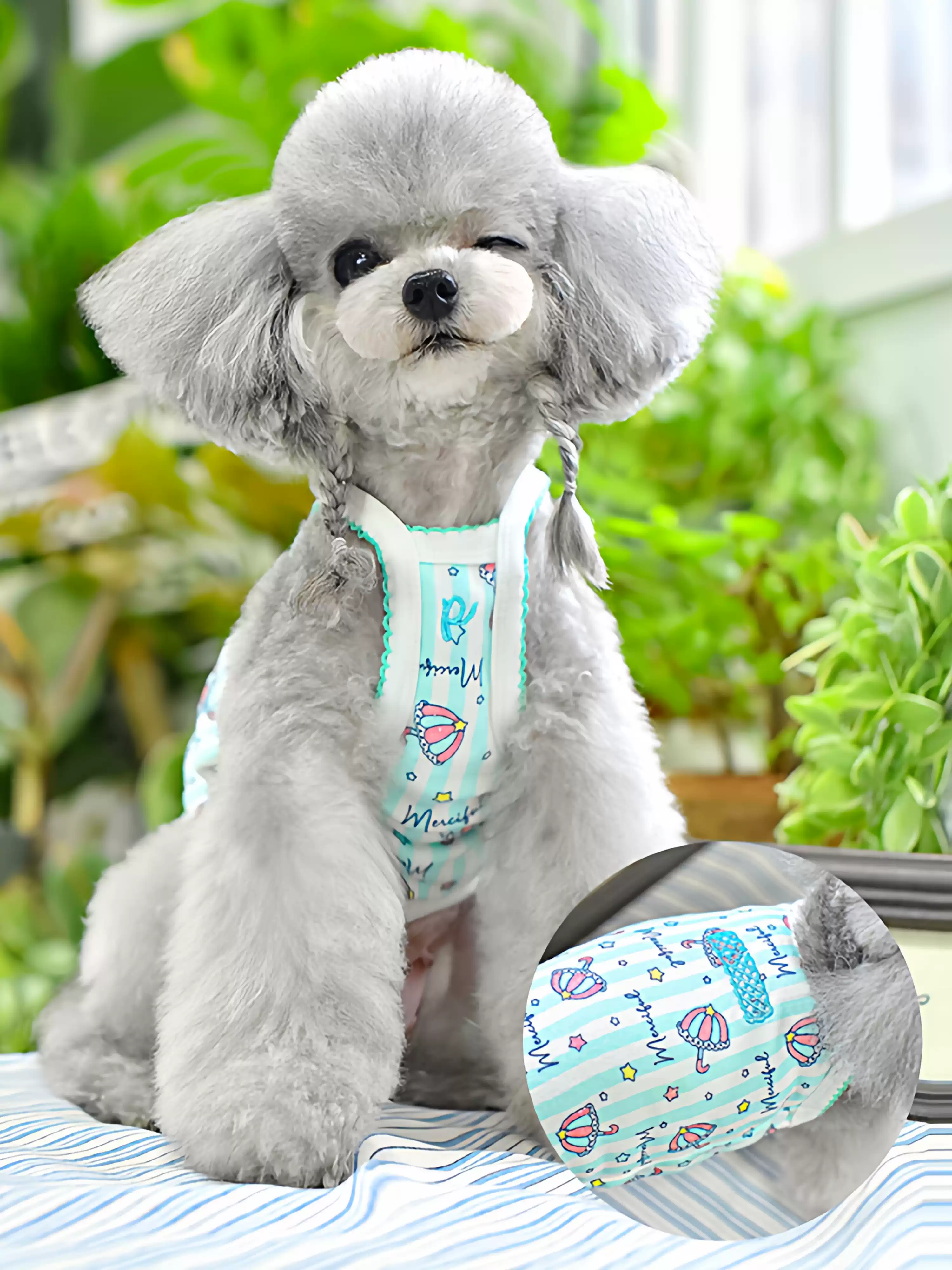 Dog Vest