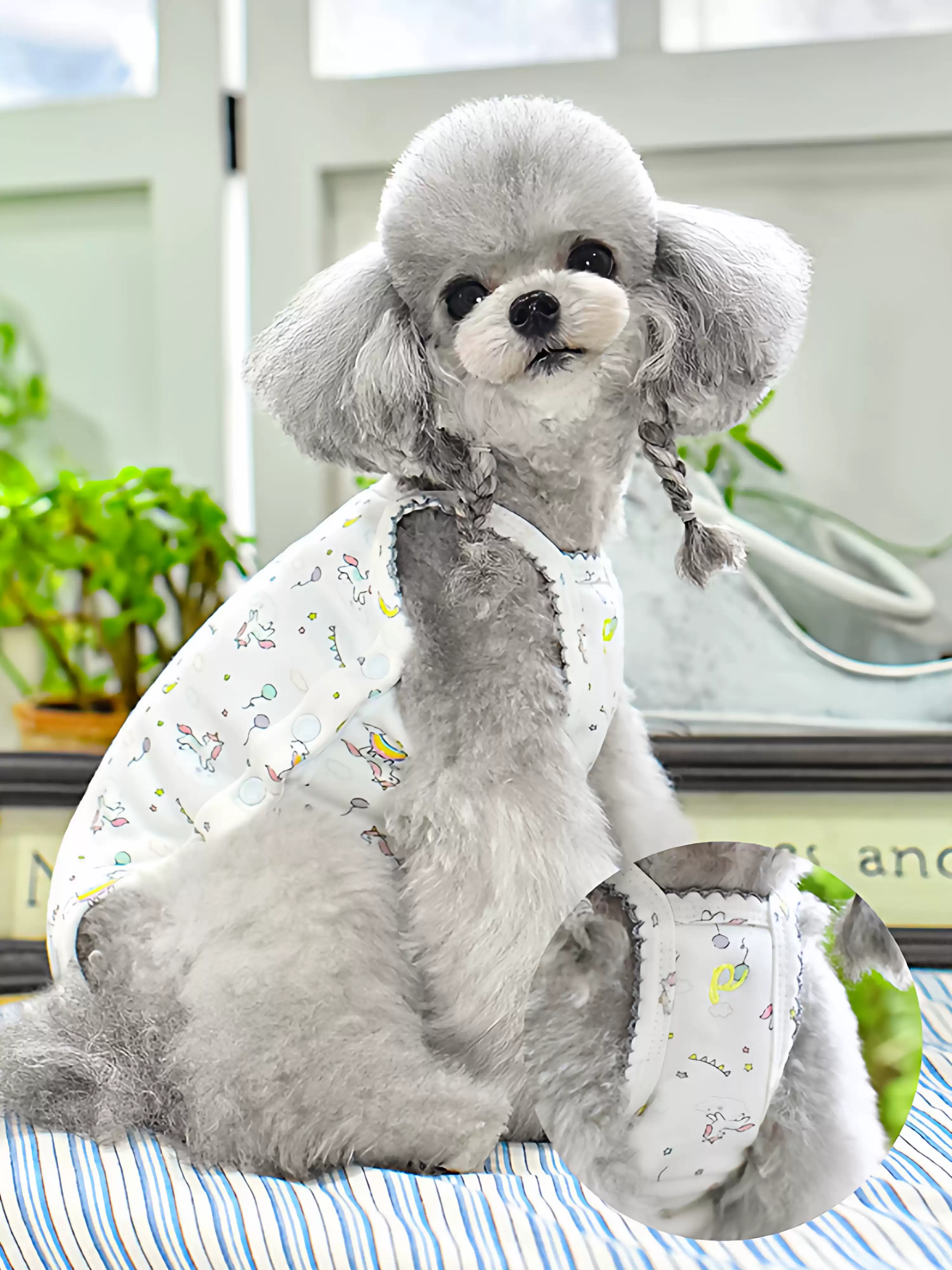 Dog Vest