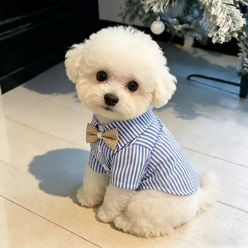 Dog Shirt