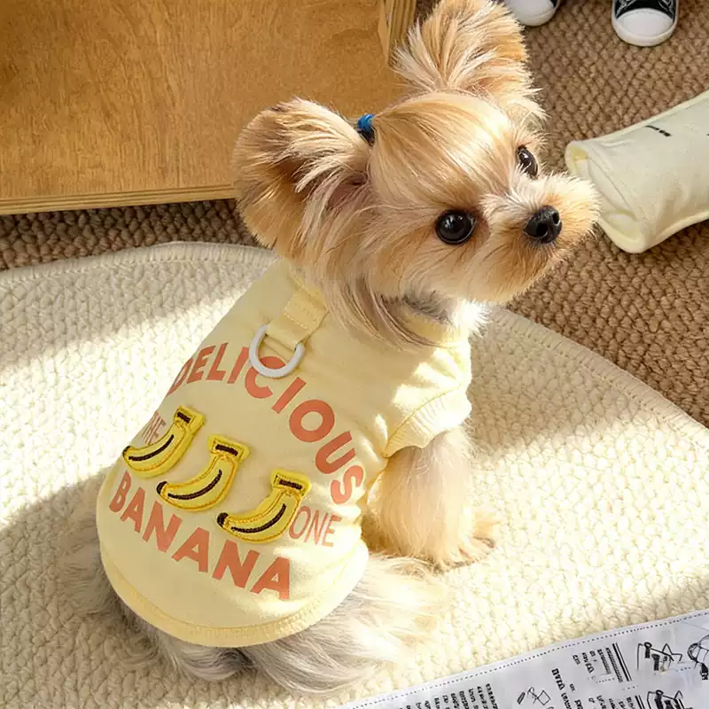 Dog T-Shirt