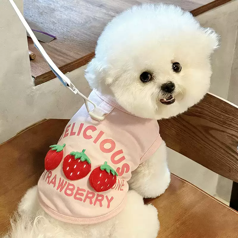 Dog T-Shirt