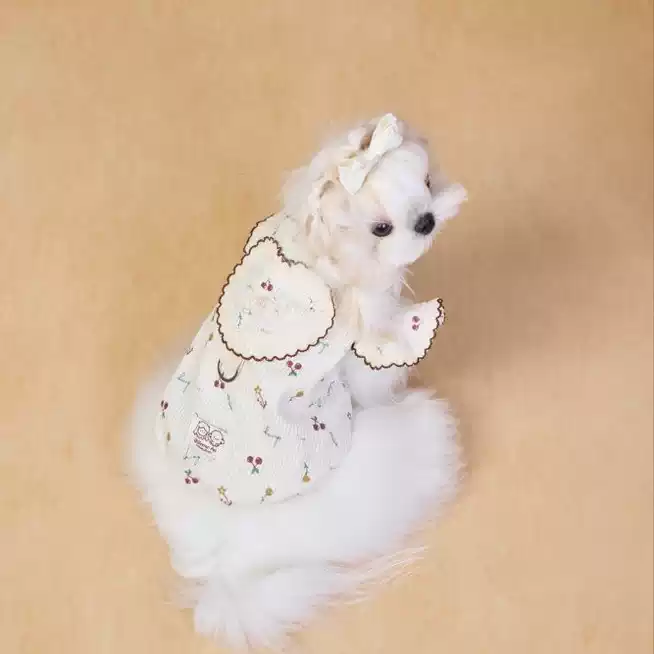 Dog T-Shirt