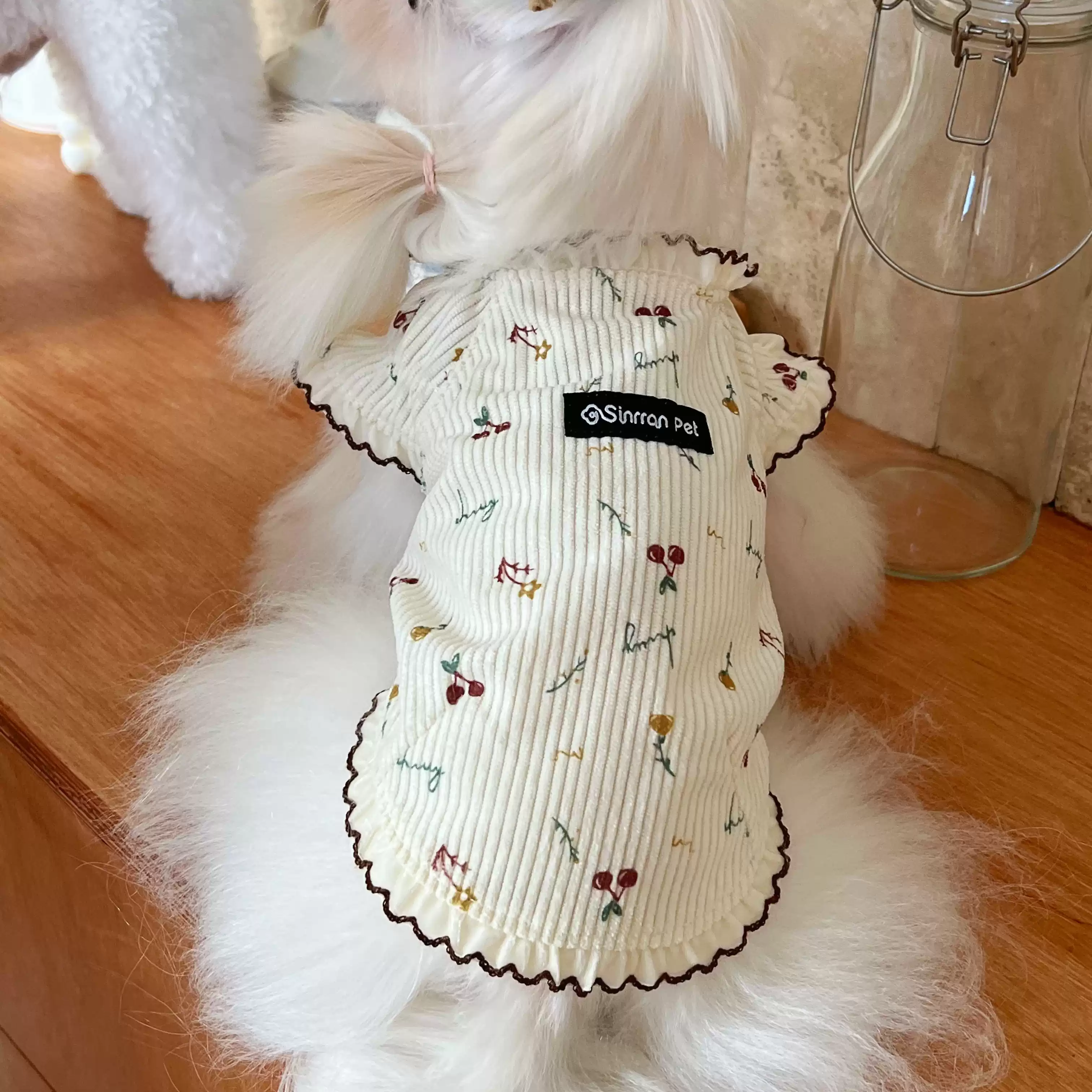 Dog T-Shirt