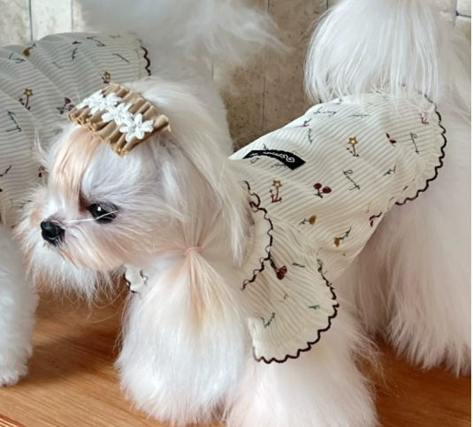Dog T-Shirt