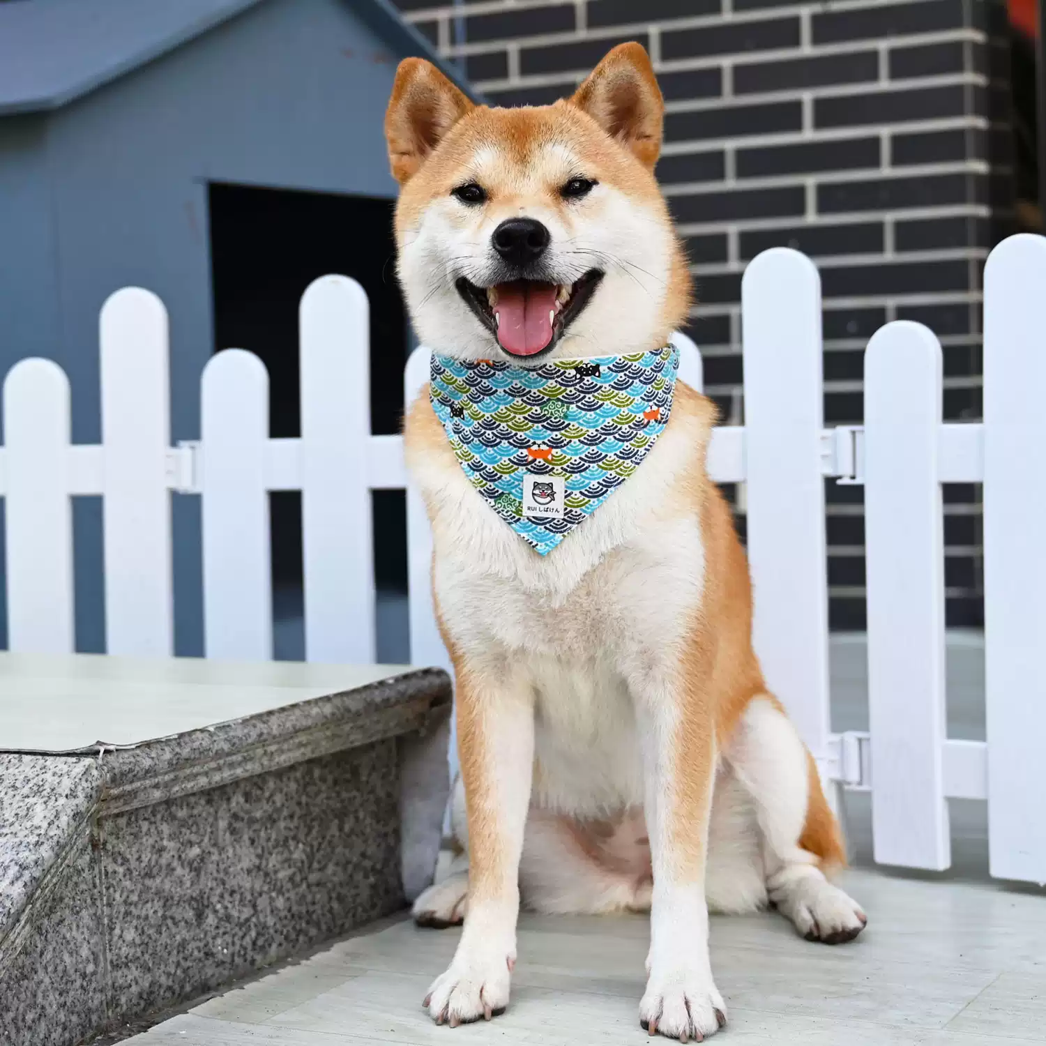 Dog Bandana