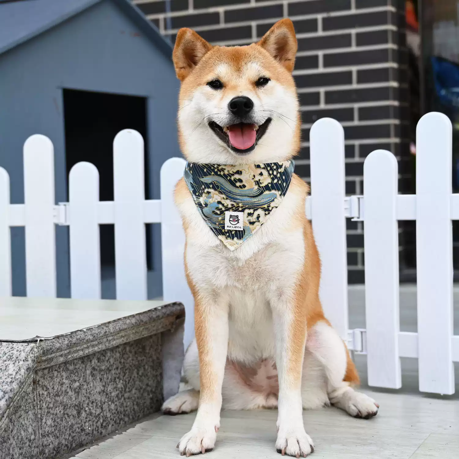Dog Bandana
