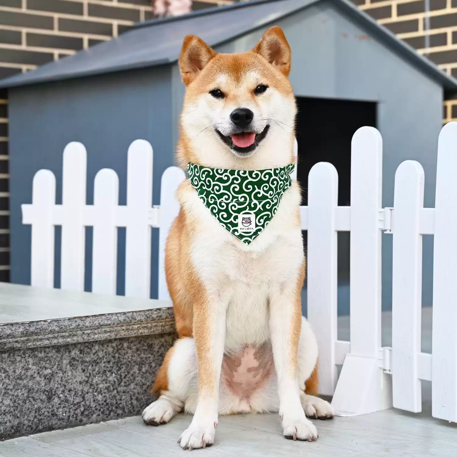 Dog Bandana