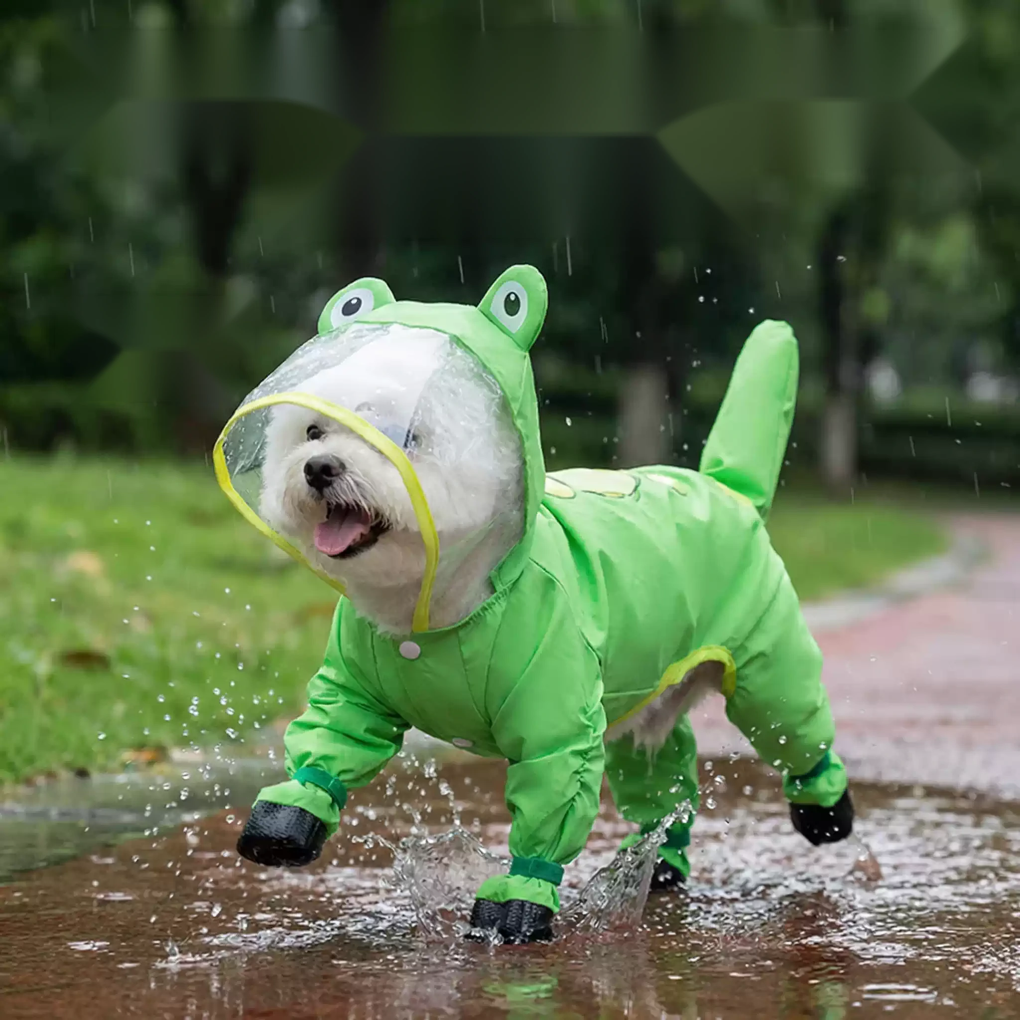 Dog Raincoat