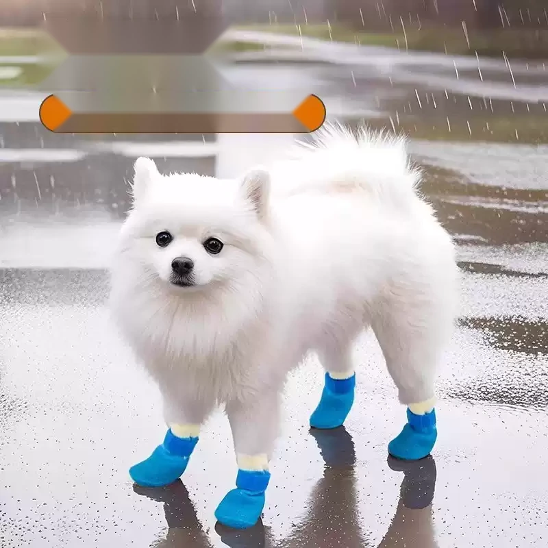 Dog Socks with Rubberized Soles