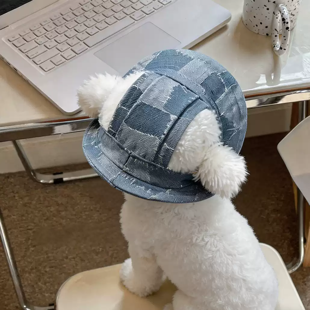 Dog Cap