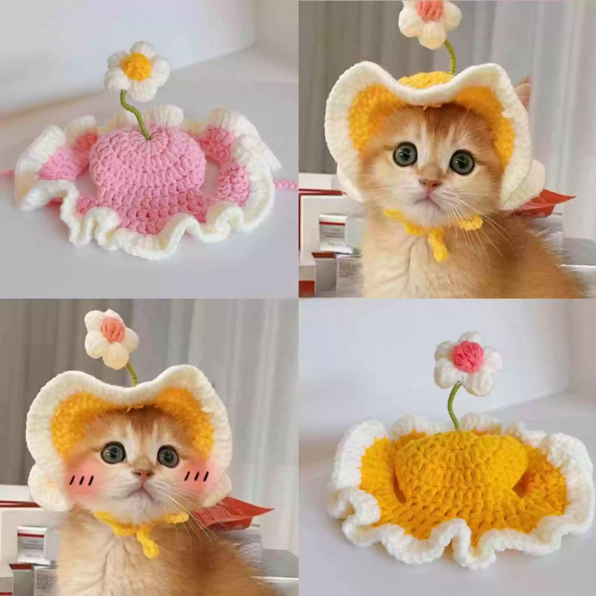 Dog Hat
