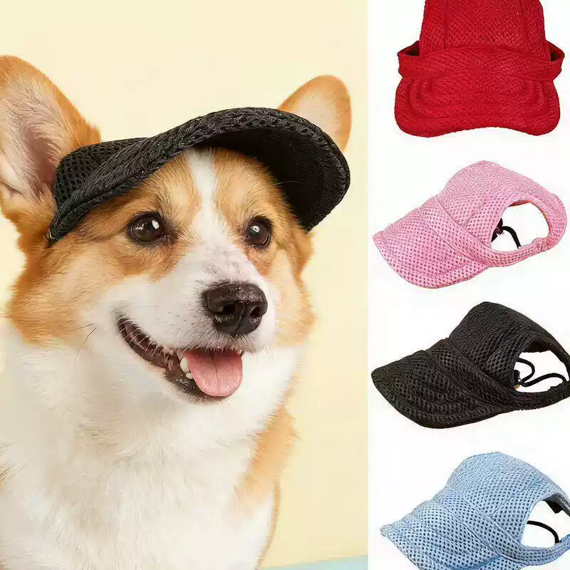 Dog Hat
