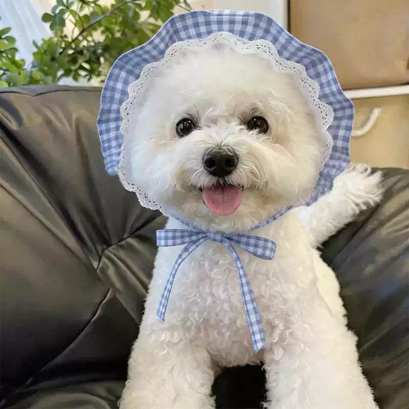Dog Cap