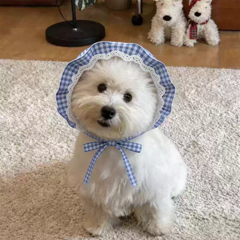 Dog Cap