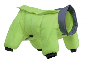 Winter Dog Onesie