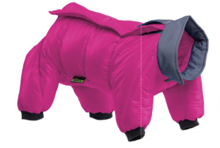 Winter Dog Onesie