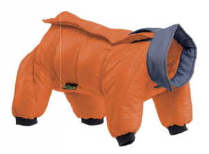 Winter Dog Onesie