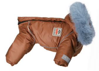 Winter Dog Onesie