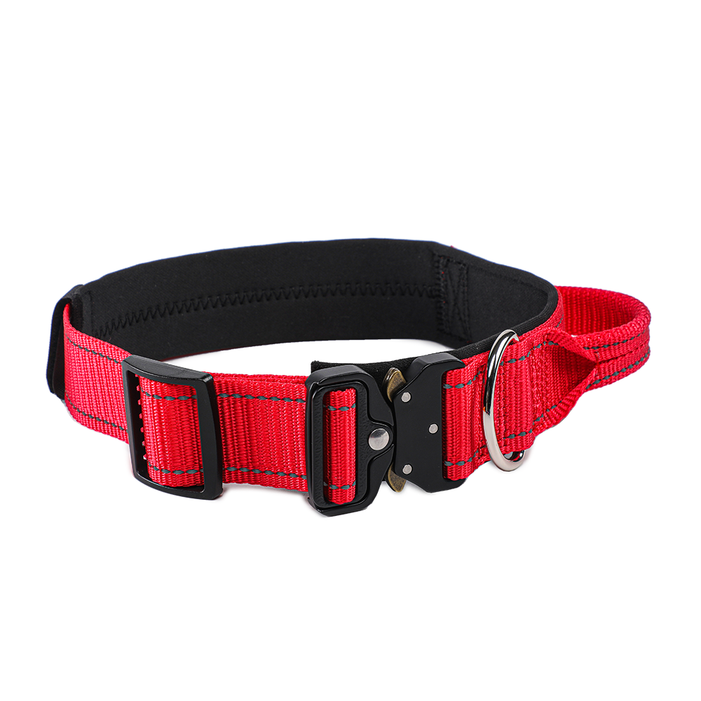 Collar for Dogs Nylon with Handle