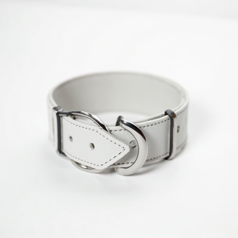 Nylon Collar