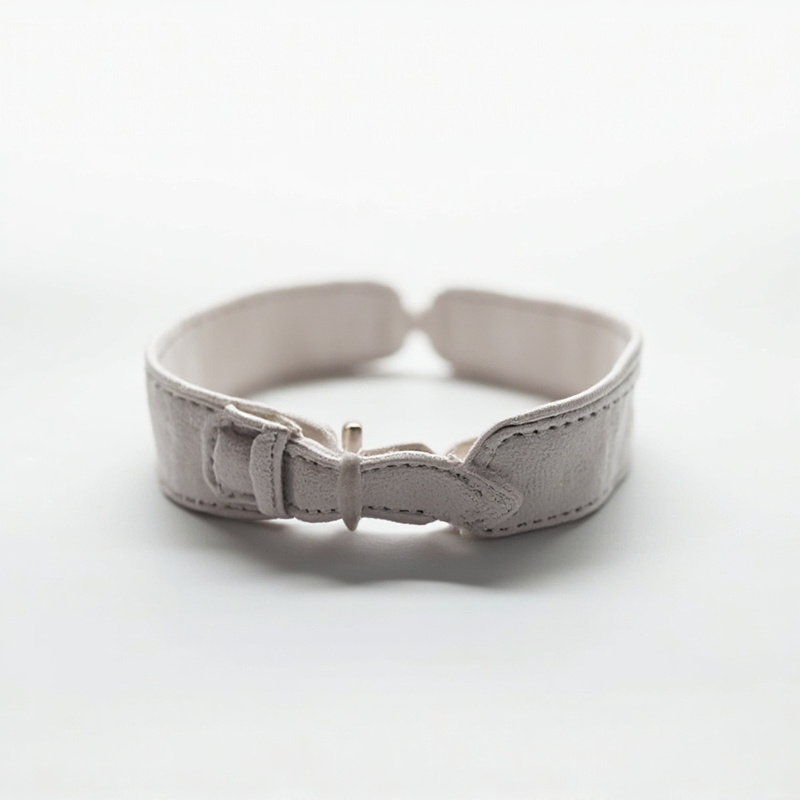 Nylon Collar