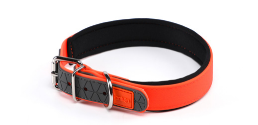Biothane Dog Collar with Neoprene Padding