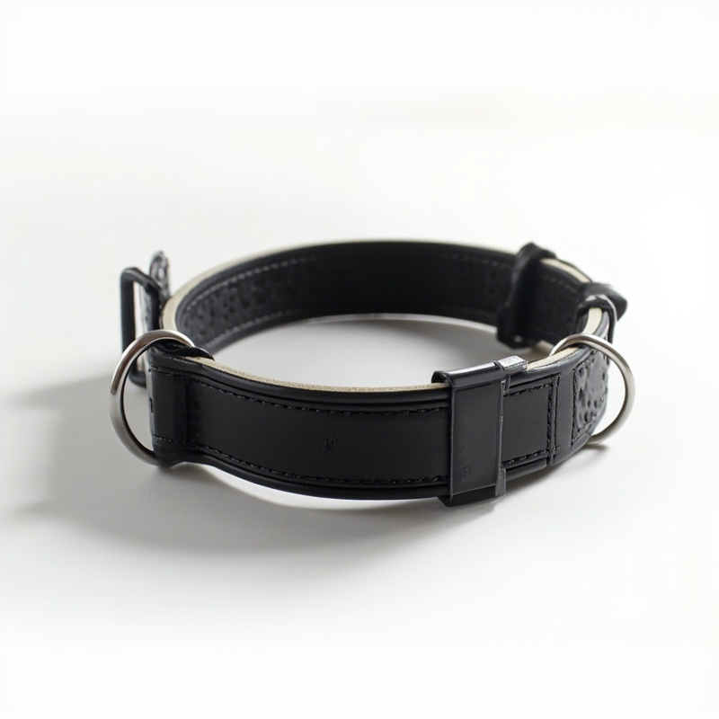 Biothane Dog Collar with Neoprene Padding