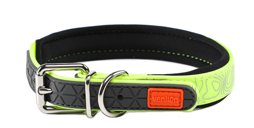 Dog Collar