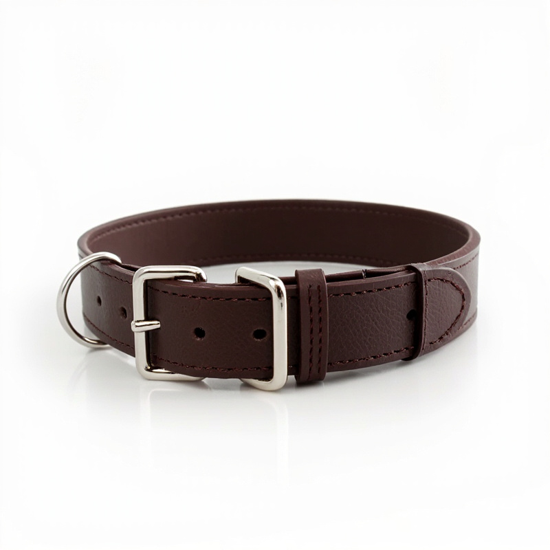Dog Collar