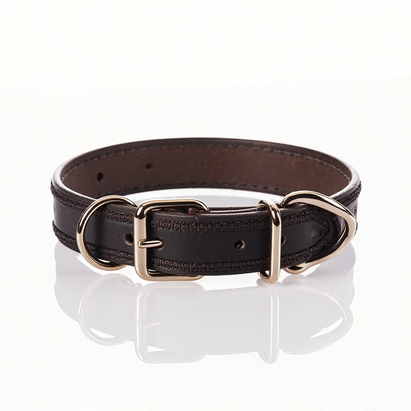 Dog Collar