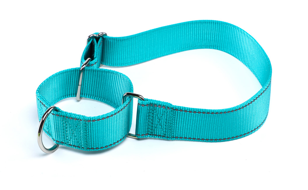 Slip-On Dog Collar (Large Dogs)