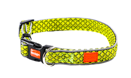 Dog Collar