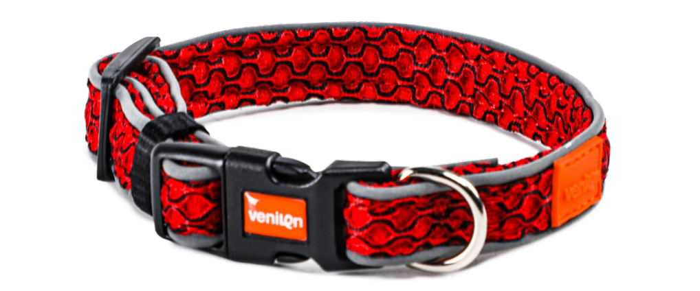 Dog Collar