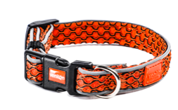 Dog Collar