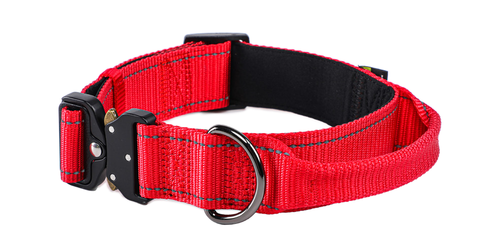 Nylon Dog Collar with Handle