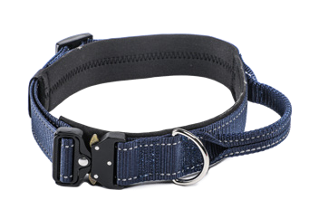 Nylon Dog Collar with Handle