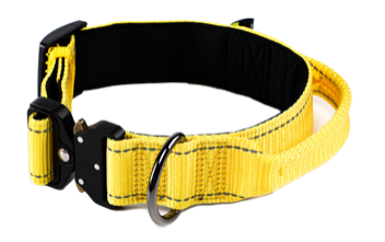 Nylon Dog Collar with Handle