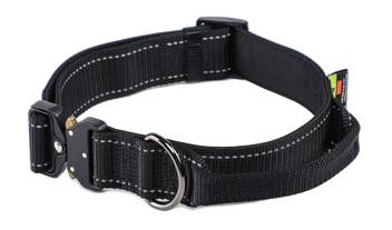 Nylon Dog Collar with Handle
