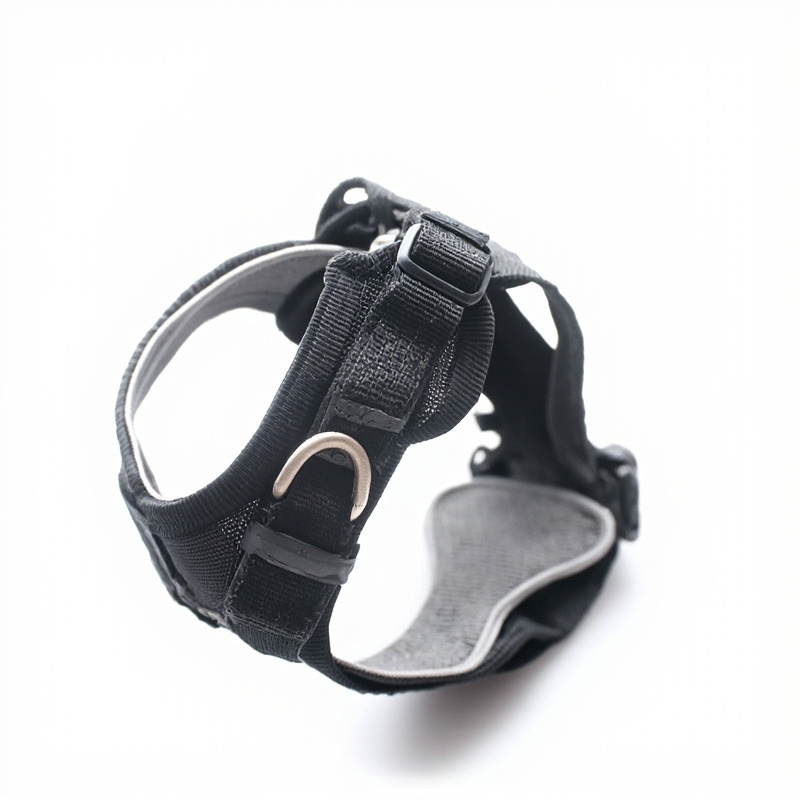 Dog Collar