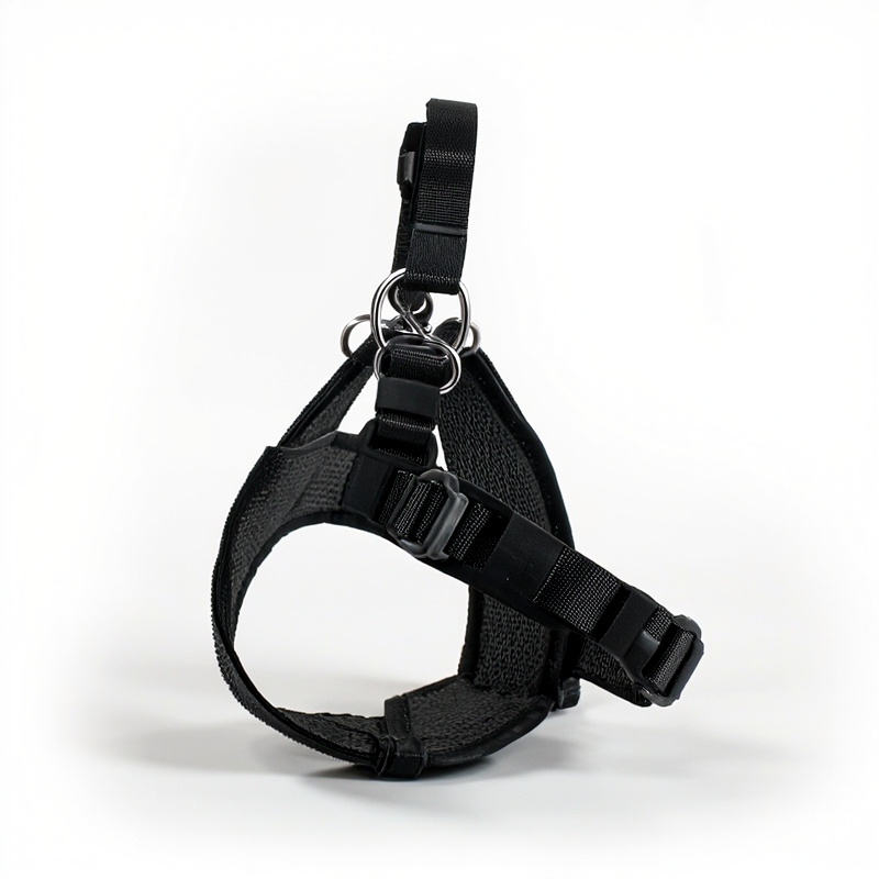 Dog Collar