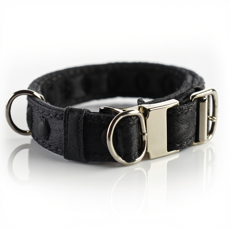Soft Dog Collar
