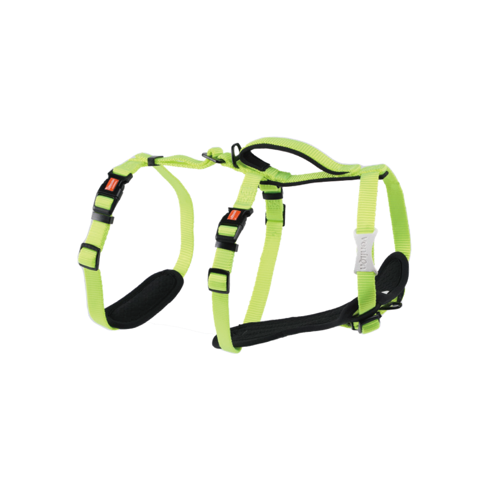 Harness for Dogs