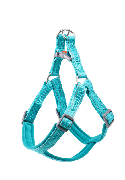 Dog Harness